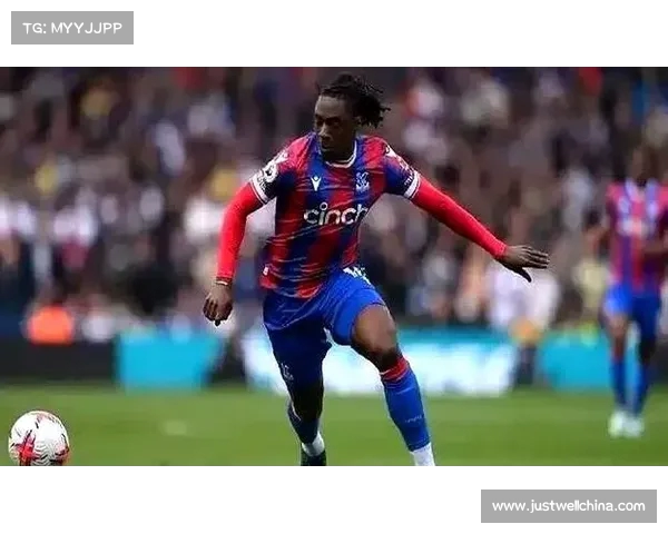 热刺官宣签下新7号 列维豪掷2亿欧全力支持弗兰克重建