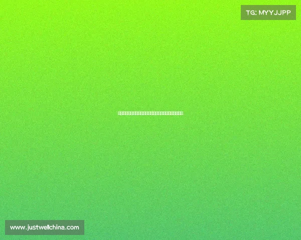 梅斯城市文化与历史遗产的融合探索与现代化发展路径研究